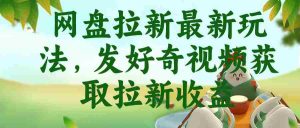 （18917期）网盘拉新最新玩法，发好奇视频获取拉新收益-OG资源站