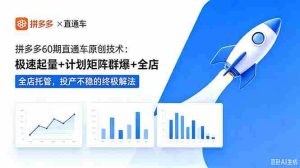 （18921期）拼多多60期直通车原创技术：极速起量+计划矩阵群爆+全店托管，投产不稳的终极解法-OG资源站