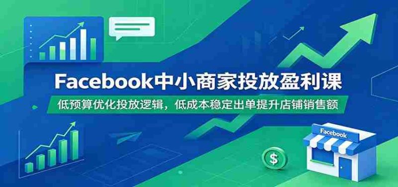 Facebook中小商家投放盈利课：低预算优化投放逻辑，低成本稳定出单提升店铺销售额-OG资源站