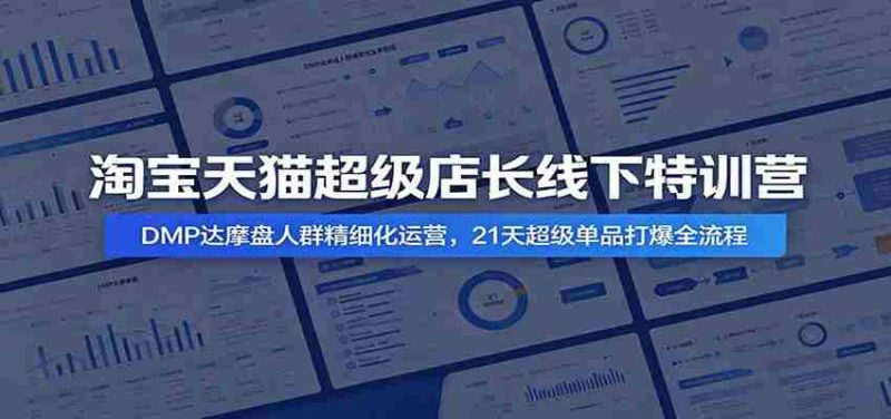 淘宝天猫超级店长线下特训营:DMP达摩盘人群精细化运营,21天超级单品打爆全流程-OG资源站