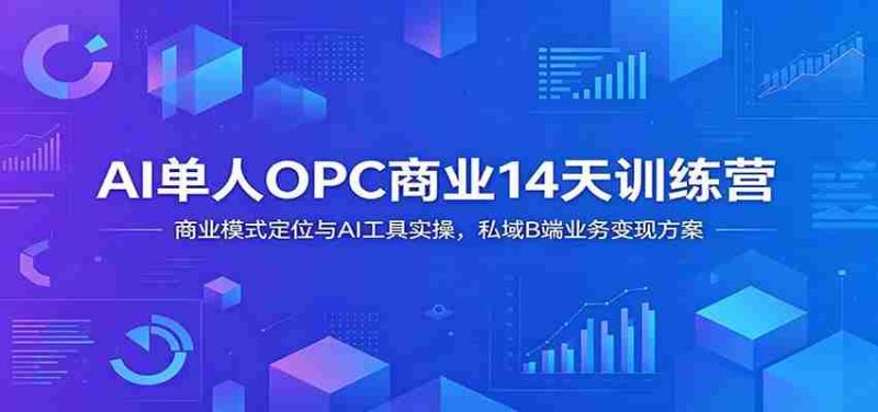 AI单人OPC商业14天训练营：商业模式定位与AI工具实操，私域B端业务变现方案-OG资源站