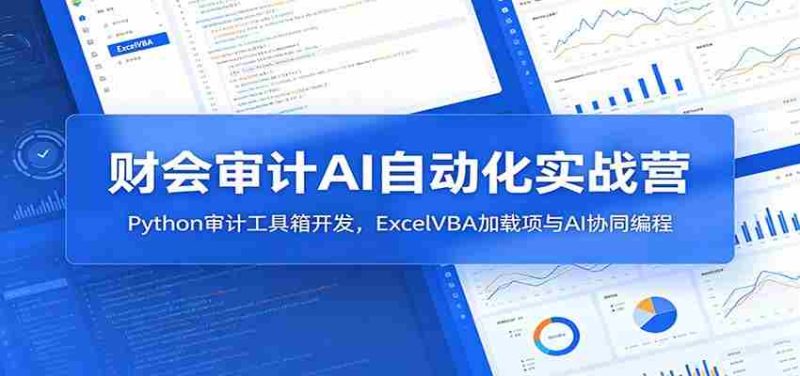 财会审计AI自动化实战营:Python审计工具箱开发,ExcelVBA加载项与AI协同编程-OG资源站