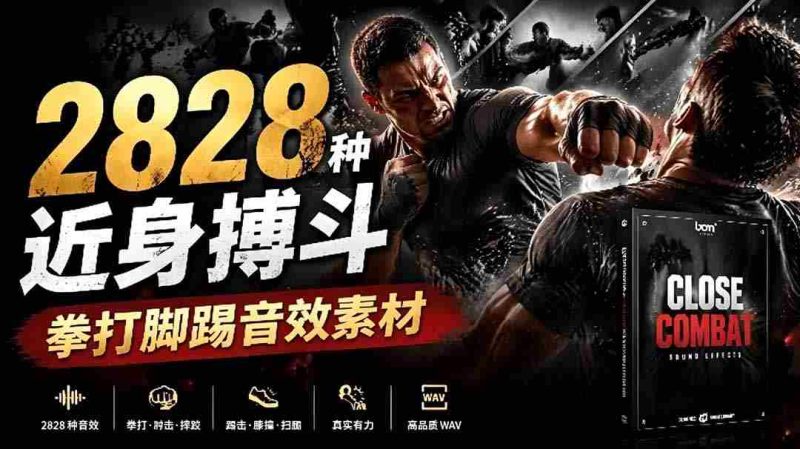(19072期)宝藏级别音效!2828种近身搏斗拳打脚踢音效素材,全部中文分类,免解压使用 Close Combat-OG资源站