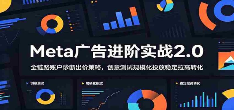 Meta广告进阶实战2.0:全链路账户诊断出价策略,创意测试规模化投放稳定拉高转化-OG资源站