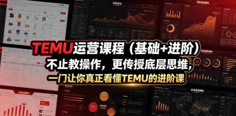 TEMU运营课程（基础+进阶），不止教操作，更传授底层思维，一门让你真正看懂TEMU的进阶课-OG资源站