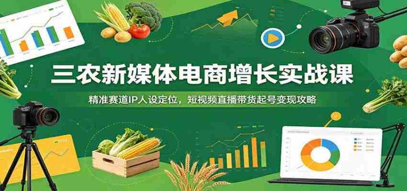 三农新媒体电商增长实战课：精准赛道IP人设定位，短视频直播带货起号变现攻略-OG资源站