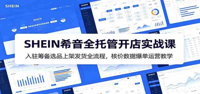 SHEIN希音全托管开店实战课：入驻筹备选品上架发货全流程，核价数据爆单运营教学-OG资源站