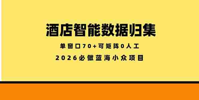 （18500期）酒店智能数据归集，小众蓝海已经稳定半年之久，单窗口70+零成本矩阵开干-OG资源站