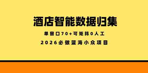 酒店智能数据归集,小众蓝海已经稳定半年之久,单窗口70+零成本矩阵开干【揭秘】-OG资源站