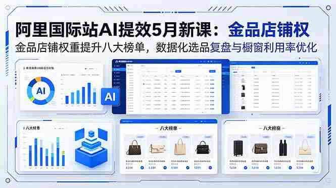 （18556期）阿里国际站AI提效5月新课：金品店铺权重提升八大榜单，数据化选品复盘与橱窗利用率优化-OG资源站