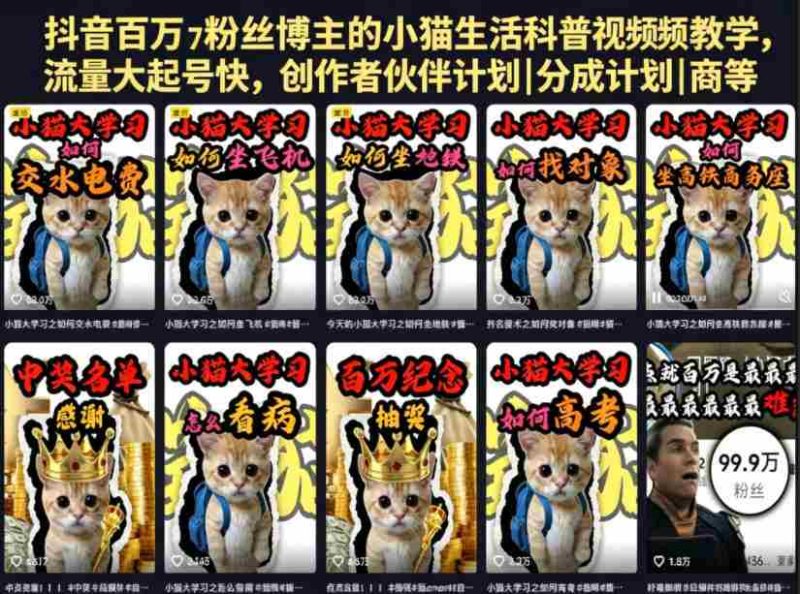 抖音百万粉丝博主的小猫生活科普视频教学，流量大起号快，创作者伙伴计划|分成计划|商单|收徒等-OG资源站
