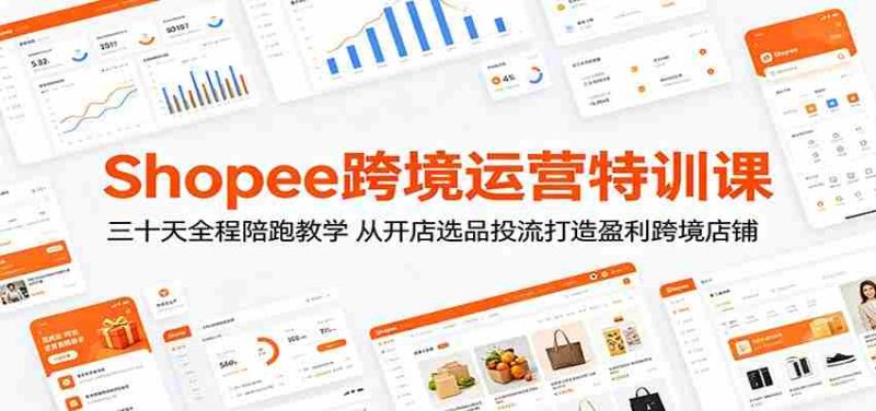 Shopee跨境运营特训课:三十天全程陪跑教学,从开店选品投流打造盈利跨境店铺-OG资源站