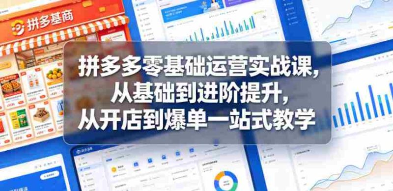 拼多多零基础运营实战课,从基础到进阶提升,从开店到爆单一站式教学-OG资源站
