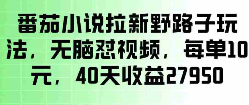 番茄小说拉新野路子玩法,无脑怼视频,玩法简单、见效快,每单10米,40天收益27950-OG资源站