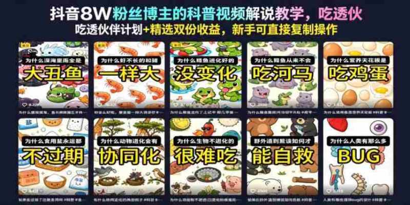 抖音8W粉丝博主的科普视频解说教学,吃透伙伴计划+精选双份收益,新手可直接复制操作-OG资源站