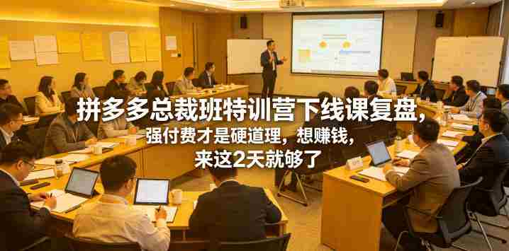拼多多总裁班特训营下线课复盘，强付费才是硬道理，想賺钱，来这2天就够了-OG资源站