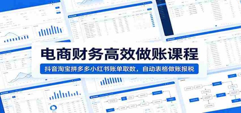 电商财务高效做账课程：抖音淘宝拼多多小红书账单取数，自动表格做账报税-OG资源站