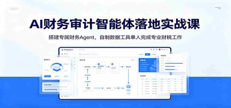 AI财务审计智能体落地实战课：搭建专属财务Agent，自制数据工具单人完成专业财税工作-OG资源站