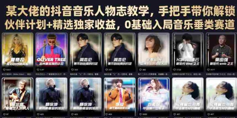 某大佬的抖音音乐人物志教学,手把手带你解锁伙伴计划+精选独家收益,0基础入局音乐垂类赛道-OG资源站