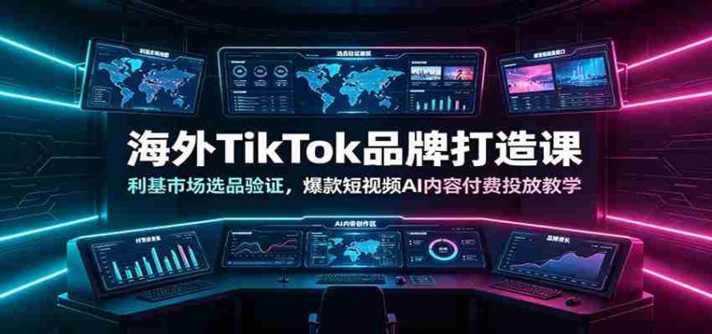 海外TikTok品牌打造课:利基市场选品验证,爆款短视频AI内容付费投放教学-OG资源站