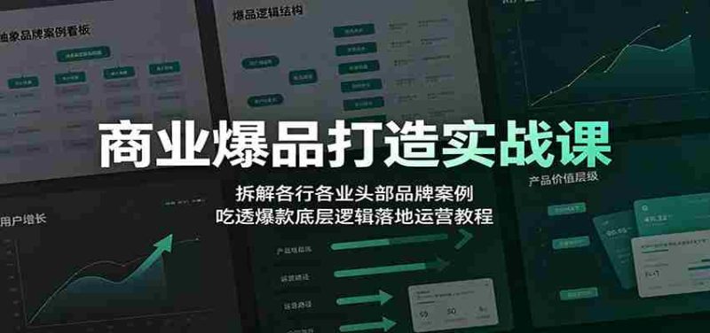 商业爆品打造实战课:拆解各行各业头部品牌案例,吃透爆款底层逻辑落地运营教程-OG资源站