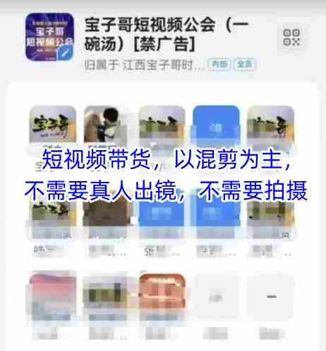 宝子哥头部团队短视频带货，以混剪为主，不需要真人出镜，不需要拍摄【更新26年3月】-OG资源站