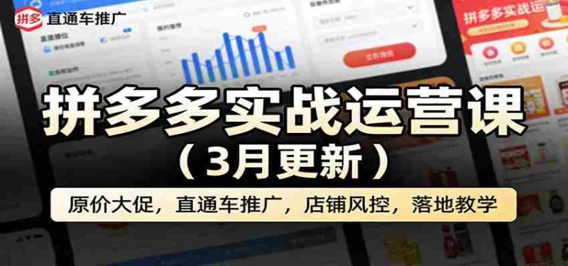 拼多多实战运营课(3月更新):原价大促,直通车推广,店铺风控,落地教学-OG资源站
