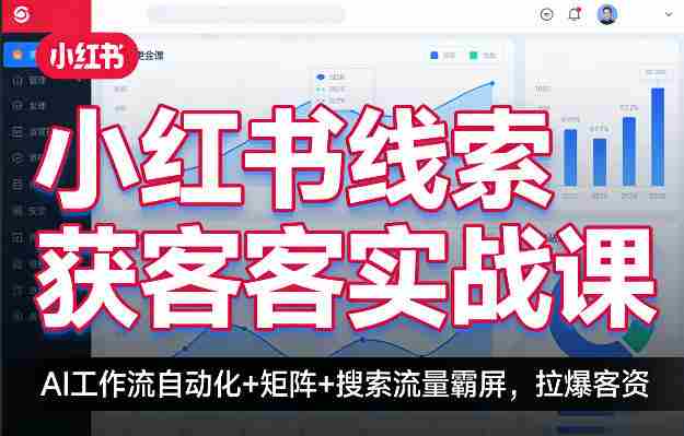 小红书线索获客实战课,AI工作流自动化+矩阵+搜索流量霸屏,拉爆客资-OG资源站