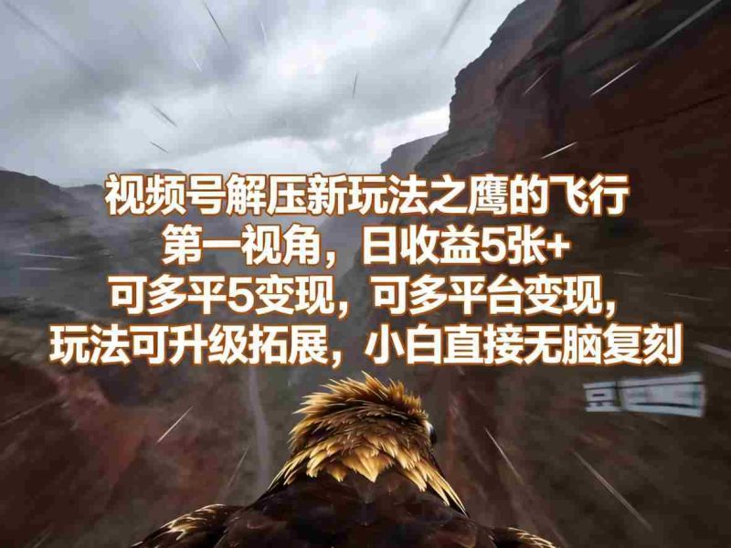 视频号解压新玩法之鹰的飞行第一视角,日收益5张+,可多平台变现,玩法可升级拓展,小白直接无脑复刻-OG资源站