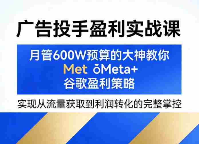 广告投手盈利实战课，月管600W预算的大神教你Meta+谷歌盈利策略，实现从流量获取到利润转化的完整掌控-OG资源站