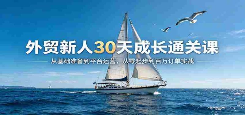 外贸新人30天成长通关课:从基础准备到平台运营,从零起步到百万订单实战-OG资源站