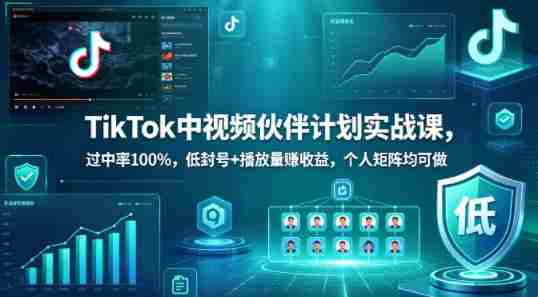 TikTok中视频伙伴计划实战课，过中率100%，低封号+播放量賺收益，个人矩阵均可做-OG资源站