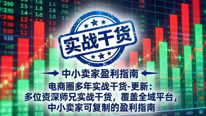 (18398期)电商圈多年实战干货-更新5月10:多位资深师兄实战干货/覆盖全域平台,中小卖家可复制的盈利指南-OG资源站