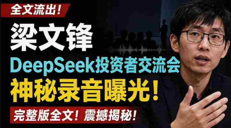 全文流出梁文锋DeepSeek投资者交流会神秘录音曝光，感兴趣的抓紧看【PDF文档】-OG资源站