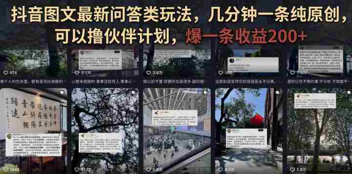 抖音图文最新问答类玩法，几分钟一条纯原创，可以撸伙伴计划，爆一条收益200+-OG资源站