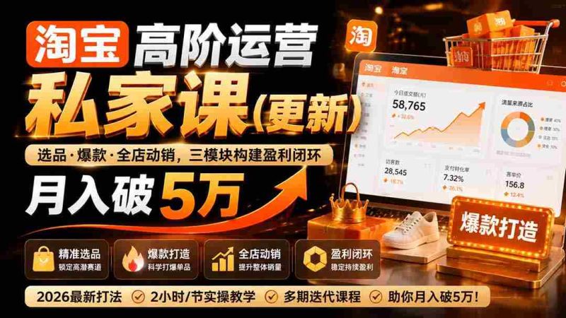 (19726期)淘宝高阶运营私家课(更新26年):选品、爆款、全店动销,三模块构建盈利闭环,月入破5万-OG资源站
