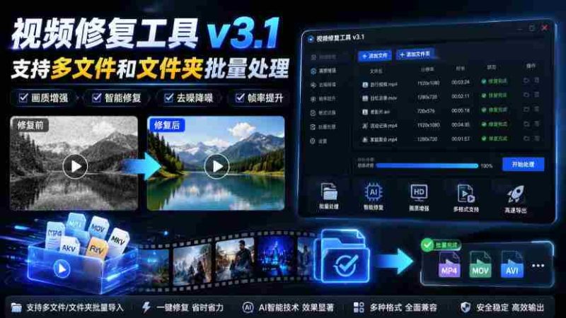 视频修复工具v3.1,支持多文件和文件夹批量处理-OG资源站