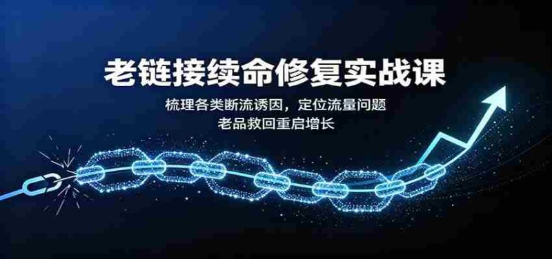 老链接续命修复实战课：梳理各类断流诱因，定位流量问题，老品救回重启增长-OG资源站