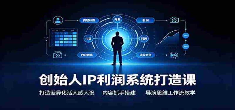 创始人IP利润系统打造课：打造差异化活人感人设，内容抓手搭建，导演思维工作流教学-OG资源站