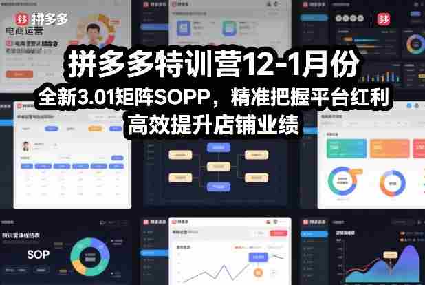拼多多特训营12-1月份，全新3.01矩阵Sop，精准把握平台红利，高效提升店铺业绩-OG资源站