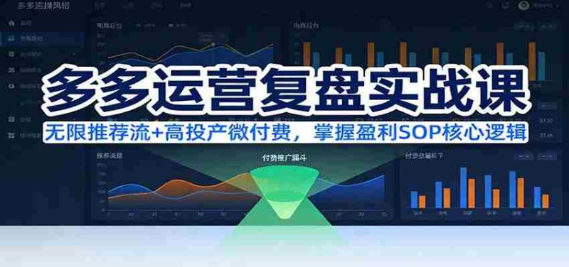 多多运营复盘实战课:无限推荐流+高投产微付费,掌握盈利SOP核心逻辑(更新)-OG资源站
