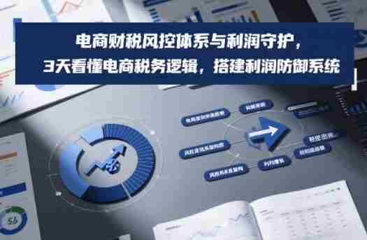 电商财税风控体系与利润守护，3天看懂电商税务逻辑，搭建利润防御系统-OG资源站