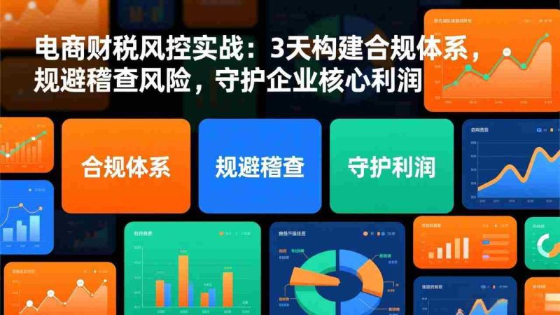 (17197期)电商财税风控实战:3天构建合规体系,规避稽查风险,守护企业核心利润-OG资源站
