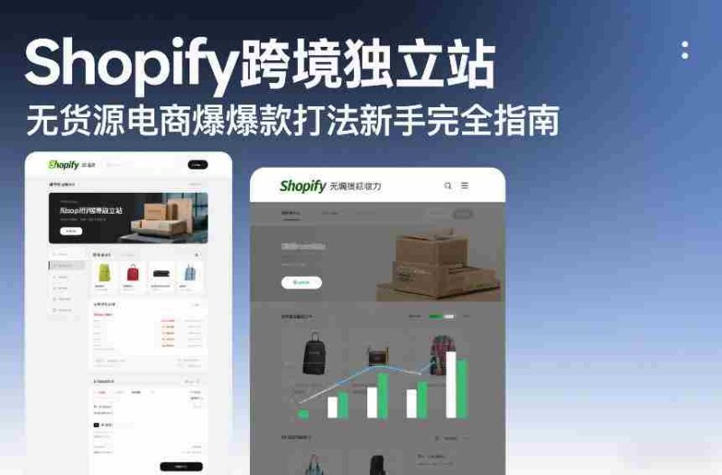 Shopify跨境独立站无货源电商爆款打法新手完全指南-OG资源站