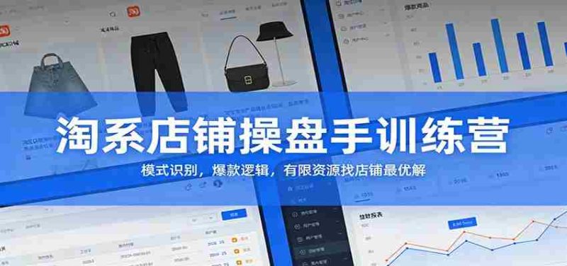 淘系店铺操盘手训练营:模式识别,爆款逻辑,有限资源找店铺最优解-OG资源站