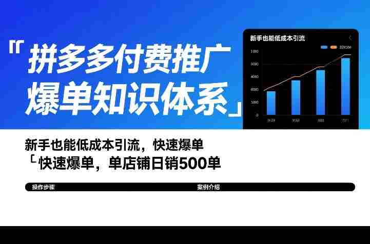 拼多多付费推广爆单知识体系,新手也能低成本引流,快速爆单,单店铺日销500单-OG资源站