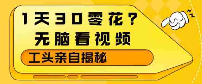 1天30零花?无脑看视频,大佬亲自揭秘-OG资源站