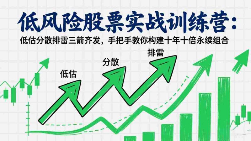 （17487期）低风险股票实战训练营：低估分散排雷三箭齐发，手把手教你构建十年十倍永续组合-OG资源站