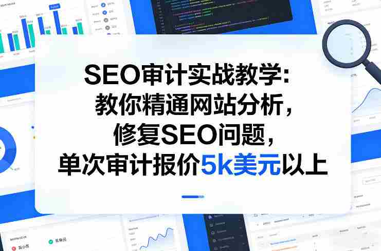 SEO审计实战教学：教你精通网站分析，修复SEO问题，单次审计报价5k美元以上-OG资源站