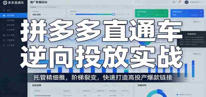 拼多多直通车逆向投放实战：托管精细推，阶梯裂变，快速打造高投产爆款链接-OG资源站